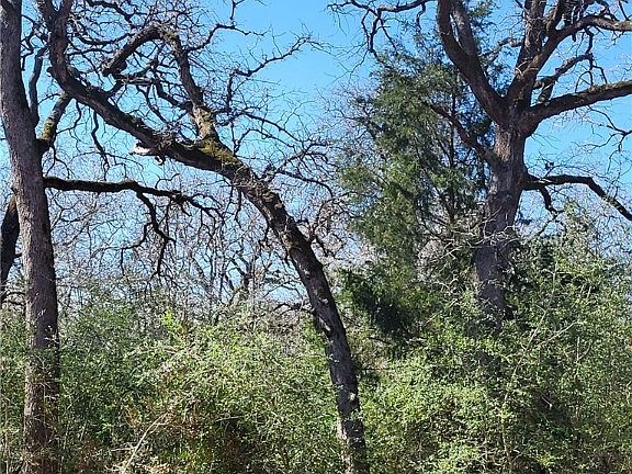 5th image of 550 Cypress Trail Loop