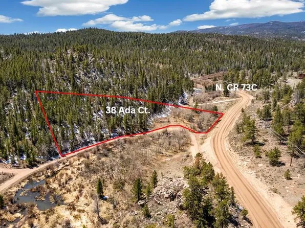 38 Ada Ct, Red Feather Lakes, CO 80545