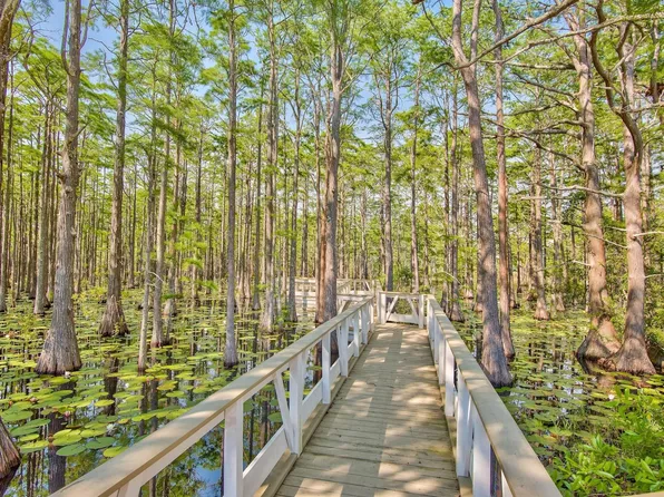 6 Cypress Dr, Santa Rosa Beach, FL 32459
