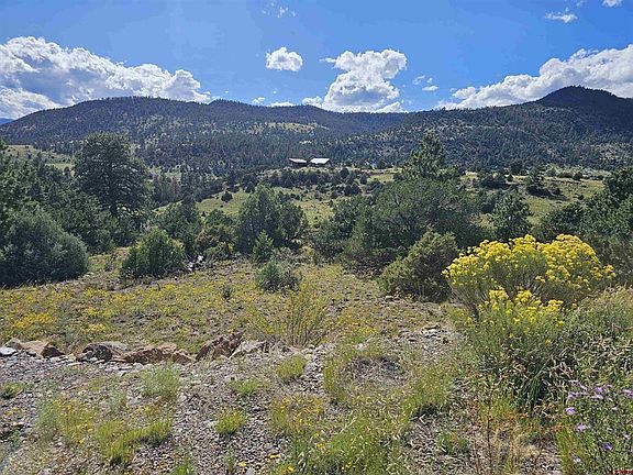 3rd image of 3527 Bear Creek Circle