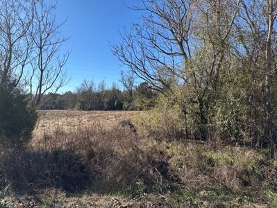 1511 Charleston Hwy, Harleyville, SC, 29448