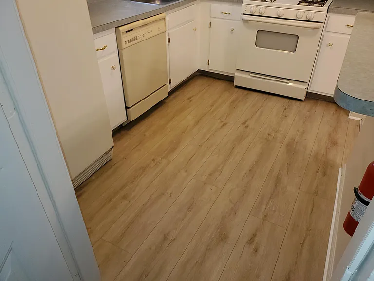 4509 Rosemarie Dr #1 — Photo 7
