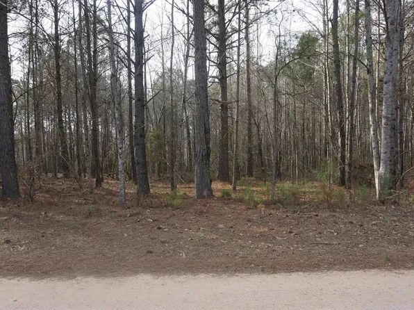 Lot Peace Of Mind Dr #1, Lineville, AL 36266