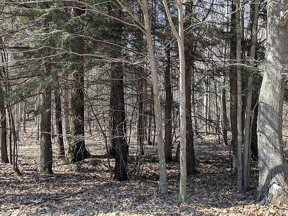 4th image of Opal Ridge Dr #68