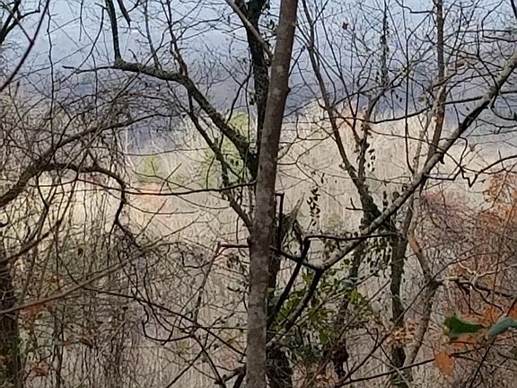 5th image of Dripping Springs Rd