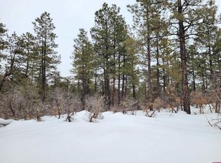 3094 Crooked Rd, Pagosa Springs, CO 81147