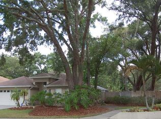4601 Dunnie Dr, Tampa, FL 33614