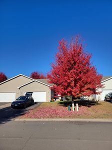 (Undisclosed Address), Chaska, MN, 55318