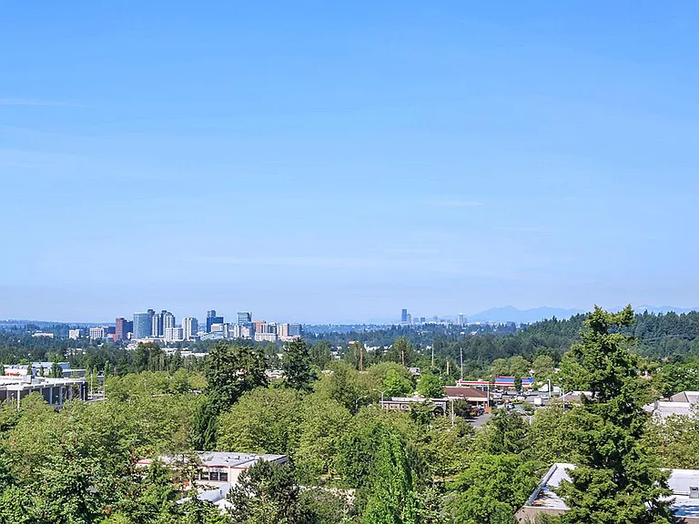 The Village at Overlake Station — Photo 13