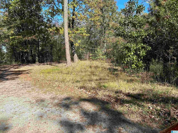 0 County Road 1252 #Na, Vinemont, AL 35179