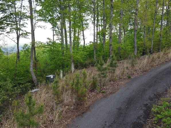 88 1300th, Blairsville, GA 30512