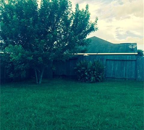 Large back yard.