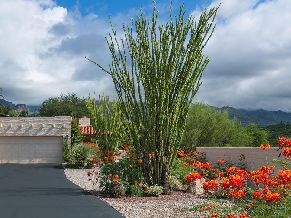 1st image of 5070 N Camino De La Cumbre