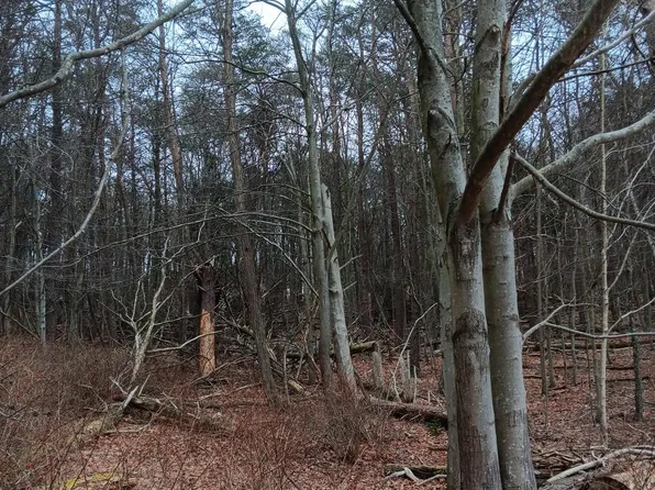 0 Bunker Hill Rd, Everett, PA 15537