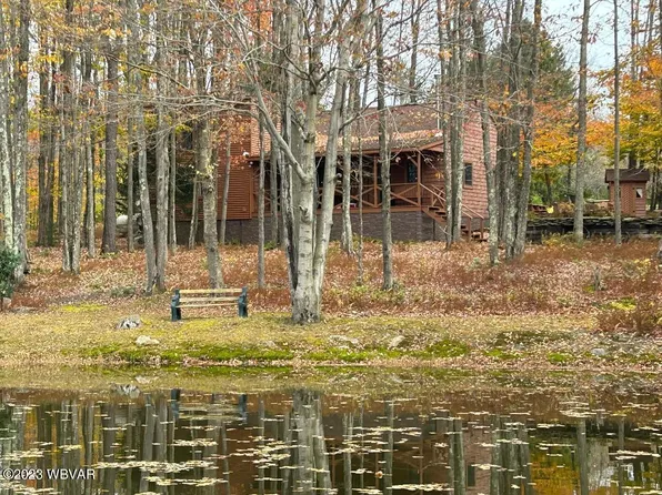 22 Pine Ln, Shunk, PA 17768