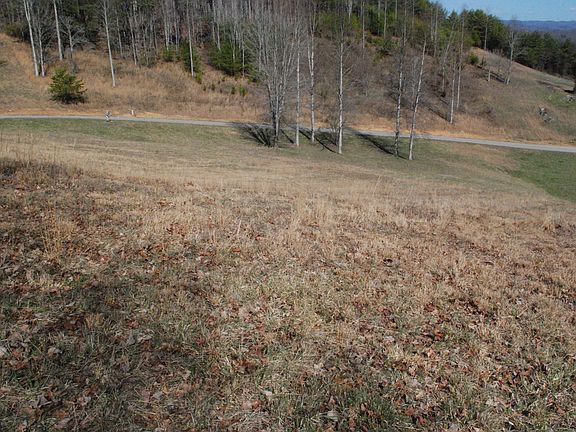5th image of 594 Hoot Owl Hollow Rd