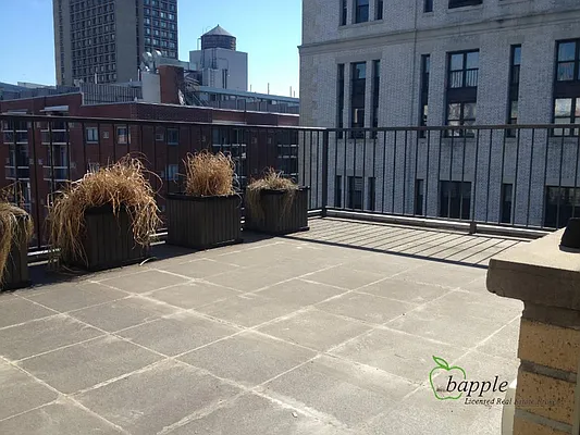 Rented by Bapple | media 19