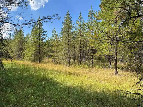 PARCEL 19 Band Mill Rd, Orofino, ID 83544