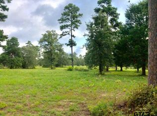 LOT 65 County Road 3419, Hawkins, TX 75765