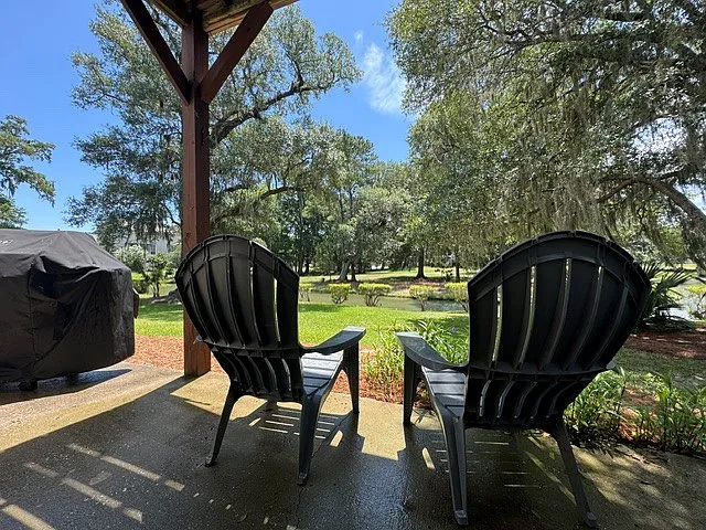 Back porch with pond view, Weber grill, and Traeger smoker.
