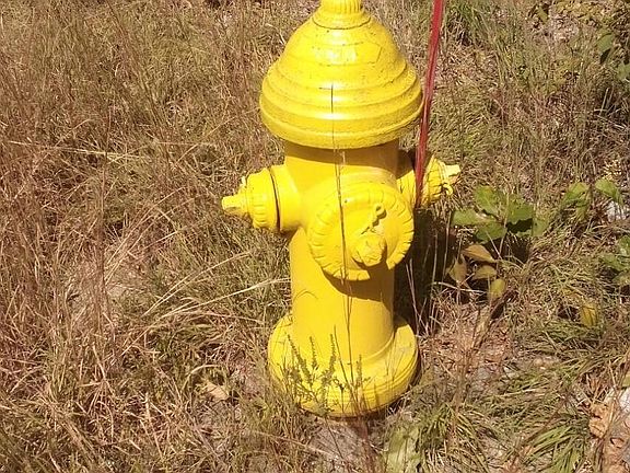 5th image of 23 Pine Street