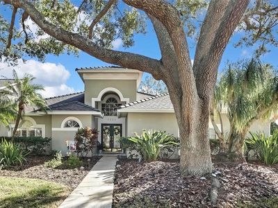 5524 Avenue Du Soleil, Lutz, FL, 33558
