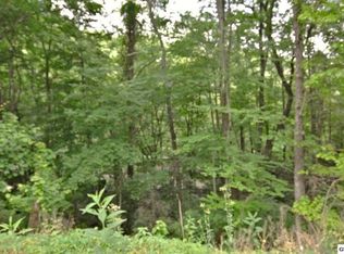 17 N Baden Dr, Gatlinburg, TN 37738