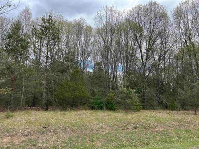 LOT 1 Czech Ln, Neshkoro, WI, 54960