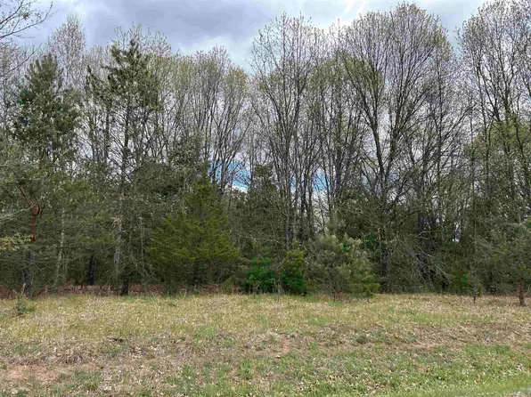 LOT 1 Czech Ln, Neshkoro, WI 54960