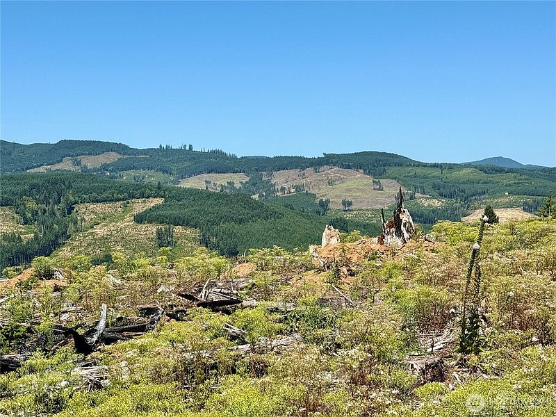 3rd image of 3700 Little Kalama River Road #6