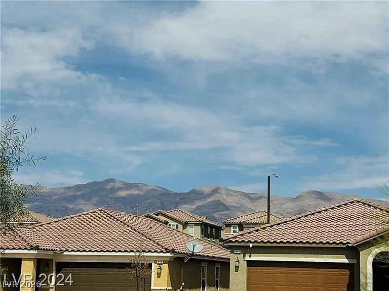 1003 Brilliant Meadow Ave — Photo 24