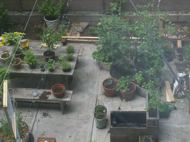257 Lexington Ave #1R — Photo 9