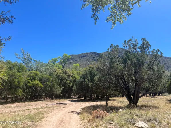 00 E Ramsey Canyon Road #-, Hereford, AZ 85615