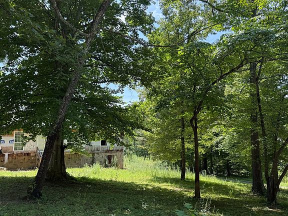 3rd image of 171 Camp Davidson Rd