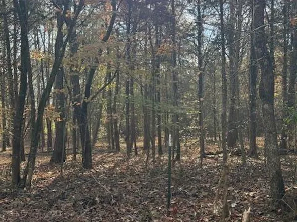 LOT 1031 Meadow Ct, White Pine, TN 37890