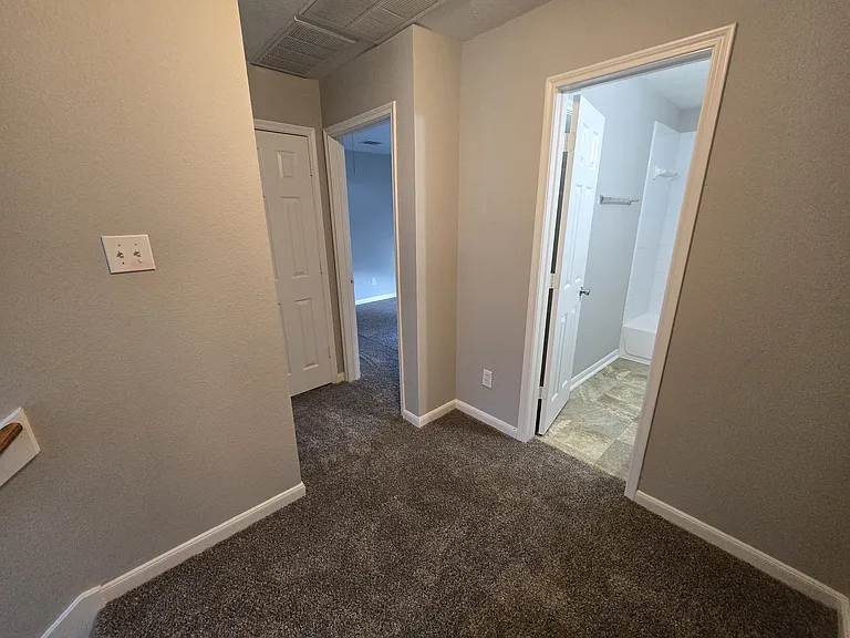 339 Silky Leaf Dr — Photo 12