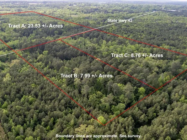 State Highway 42 Acres Tract C-8.76, Price, TX 75687