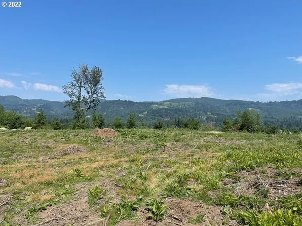 42406 NW 8th Ave, Woodland, WA 98674