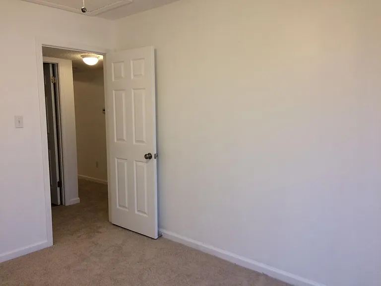The 2nd bathroom with carpet