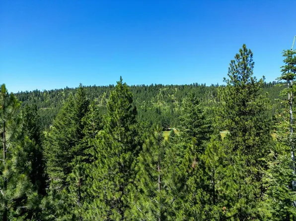 5614 Lupine Ln, McCall, ID 83638