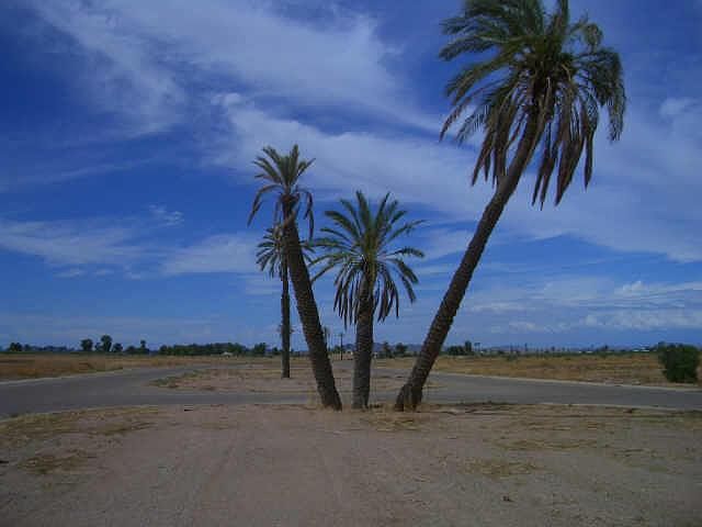 1st image of 0 W Estanquillo Drive #1182