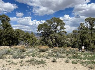 350 E Ward Mountain Dr, Ely, NV 89301