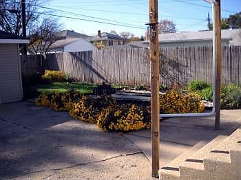 4th image of 418 Parkovash Ave