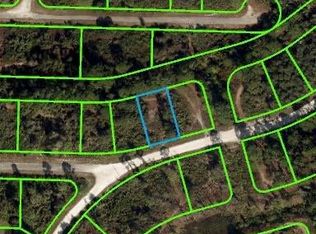 3359 Popinjay Ave, Lake Placid, FL 33852