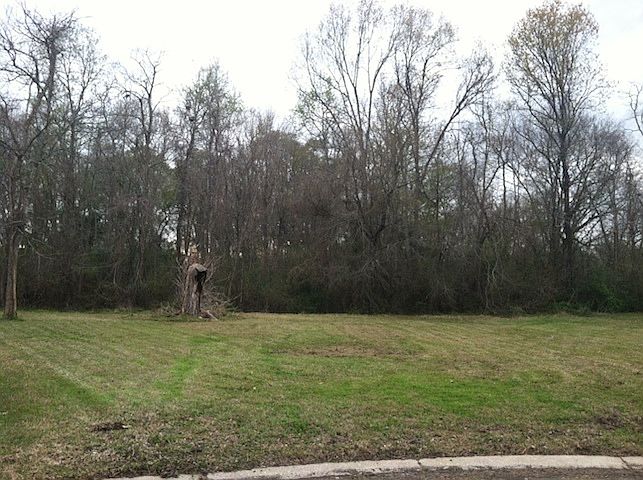 Rear view of Property 