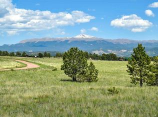 101 View Ln, Guffey, CO 80820