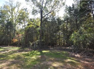 130 Indian Cove Rd, Chapin, SC 29036