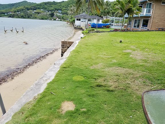 low tide from backyard area