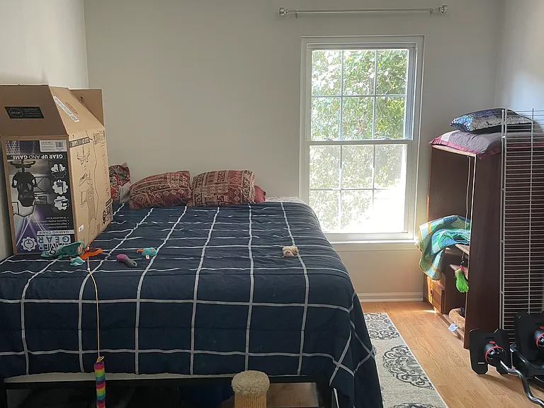 11 Woodbine Ct — Photo 8