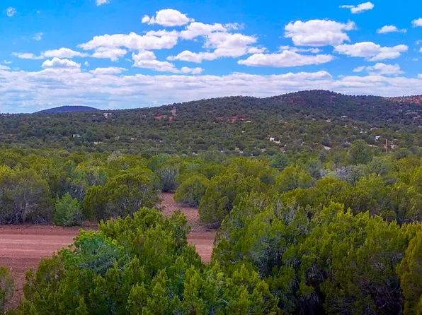 52 County Road 3198, Vernon, AZ 85940